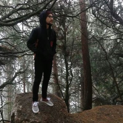 Profile Picture of Alexander Carrero (@@Alex_Alfrex) on Twitter