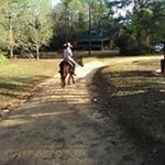 Profile Picture of Cliff Gill (@cliff.gill.16) on Instagram