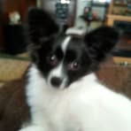 Profile Picture of Donna Jackson Youngquist (@donnajackson.youngquist.3) on Facebook