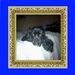 Profile Picture of Joyce Heft-Sadowski (@heftsadowski) on Pinterest