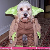 Kevin Dreves - Youtube Profile Picture of Kevin Dreves (@kevindreves9857) on Youtube