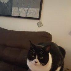 Profile Picture of Jon Penney (@itsjonpenney) on Twitter