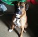 Profile Picture of Joe Coble (@joe.coble.94) on Facebook