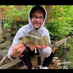 Profile Picture of Albert (@basse_fishing) on Instagram