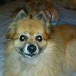 Profile Picture of Janet Christian (@christian.janet) on Instagram