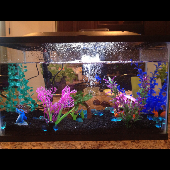 Lee Tonkovich - Poshmark Profile Picture of Lee Tonkovich (@alee12) on Poshmark