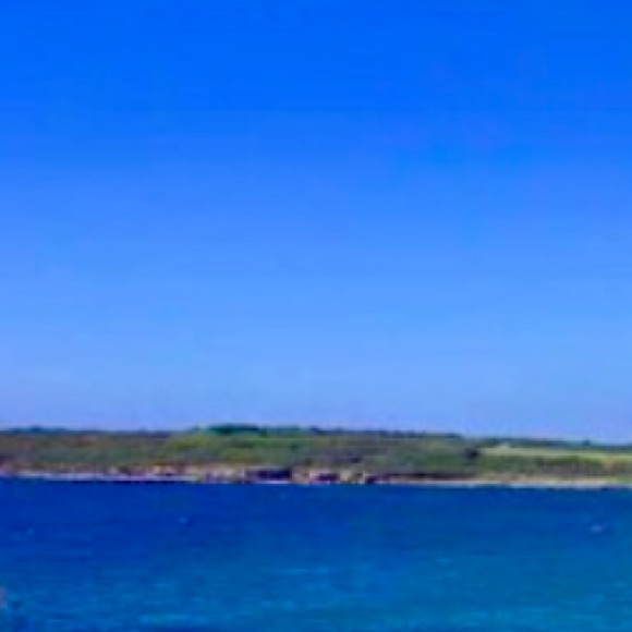 Profile Picture of Evalyn Milson (@evalynocean) on Poshmark