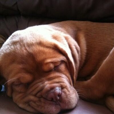 Profile Picture of Ian Kay Randall (@RandallCo) on Twitter