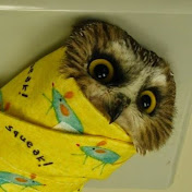 Profile Picture of Nathan Epstein (@nathanepstein4766) on Youtube