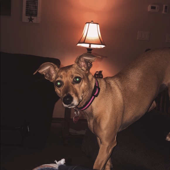 Profile Picture of Ava Arnold (@ava_lynn36) on Poshmark