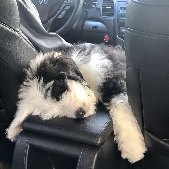 Profile Picture of Kara Vaaler (@kvaal21) on Poshmark