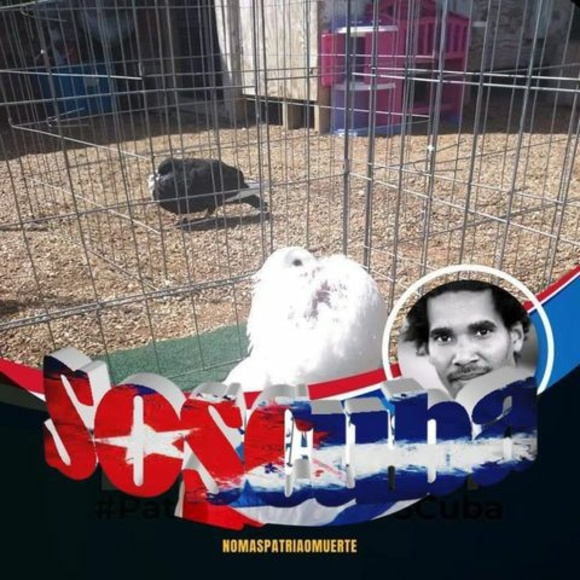 Profile Picture of Vicente Cusco (@vicentecusco) on Poshmark