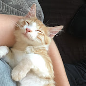 Profile Picture of Miranda Scales (@mirandascales) on Youtube