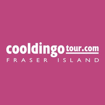 Profile Picture of Cool Dingo Tour (@cooldingotour) on Twitter