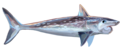 Profile Picture of Eugeneodontidaon Wikipedia