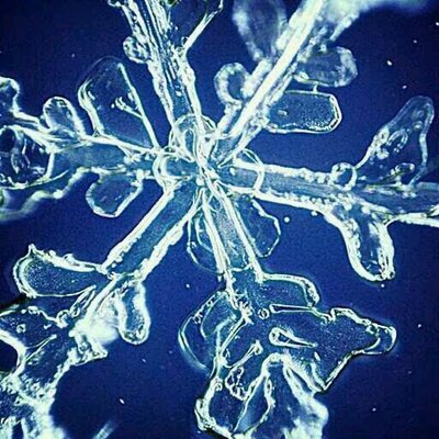 Profile Picture of Tamara Leitner (@fe519747d40c432) on Twitter