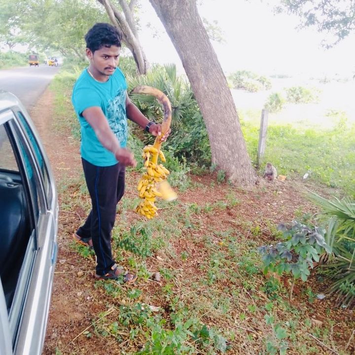 Profile Picture of Ram pratti (@pspk.baktudu) on Tiktok
