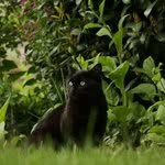 Profile Picture of Larry Abernathy (@larryabernathy) on Instagram