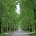 Profile Picture of Rachana Pathak (@rachana.pathak.587) on Facebook