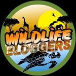 Profile Picture of Hannah Rudd (@wildlifebloggercrowd) on Instagram