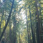 Profile Picture of Melissa Larsen Ekholm (@melissalarsenekholm) on Instagram