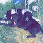 Profile Picture of Lenoir Philippe (@philippe.lenoir58300) on Instagram