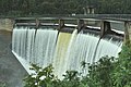 Profile Picture of Bendora Damon Wikipedia