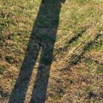 Profile Picture of Craig Richter (@craig.richter) on Instagram