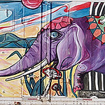 Profile Picture of Chantel Hodgson (@chantel.lisa.hodgson) on Flickr