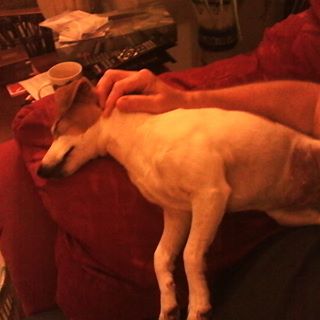 Profile Picture of Julee Williams (Mother Julee) (@julee.williams.75) on Facebook