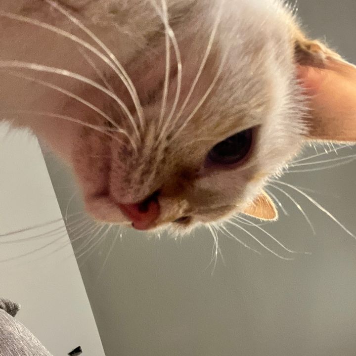 Profile Picture of Gavin Garrett (@ggarrett0413) on Tiktok