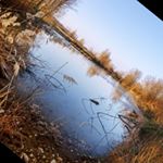 Profile Picture of Dillon Kim (@dillon.kim52244) on Instagram