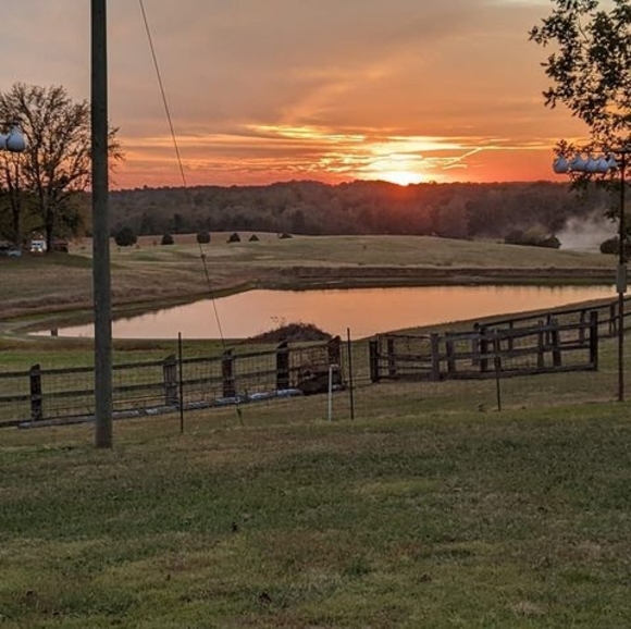 Profile Picture of Judy Neisler (@jneisler59) on Poshmark