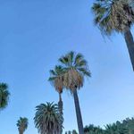 Profile Picture of Wojciech Jankowski (@wojciech_jankowski_) on Instagram