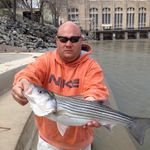 Profile Picture of Justin Tice (@justin.tice) on Instagram