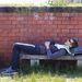 Profile Picture of Thomas Radwanski (@thomasradwanski) on Pinterest
