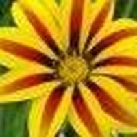 Profile Picture of Nancy Hunt (@nancy-hunt-6) on Quora