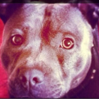 Profile Picture of Blake Wesley (@Tempperr) on Twitter