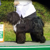 Profile Picture of Jean Allen (@JeanAllen12) on Youtube