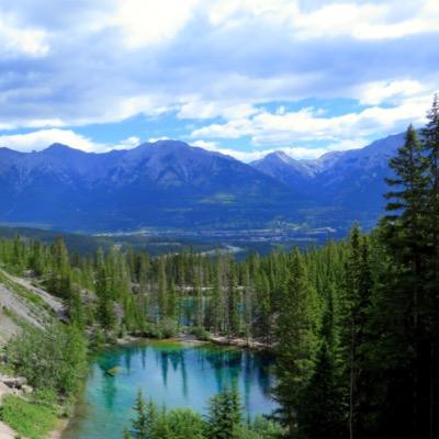 Profile Picture of Steve Collier (@ExportSteveUSCS) on Twitter