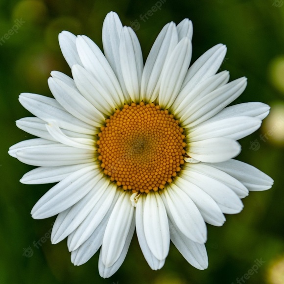 Profile Picture of Daniela Serna caballero (@dan_sec) on Poshmark