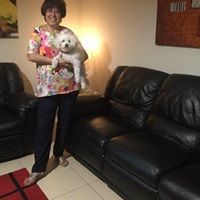 Profile Picture of Armaity Irani (@armaityi) on Pinterest