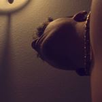 Profile Picture of Ivan Stoyanov (@ivan.stoyanov1) on Instagram