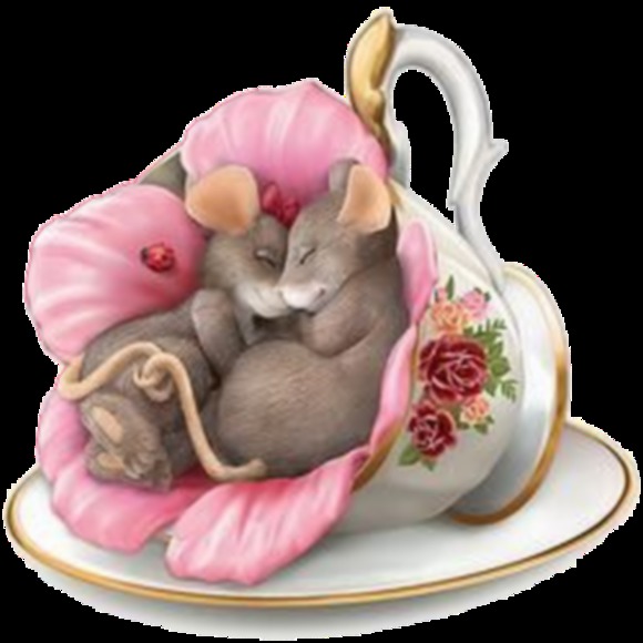 Profile Picture of Debra Burlett shay (@country_mouse64) on Poshmark