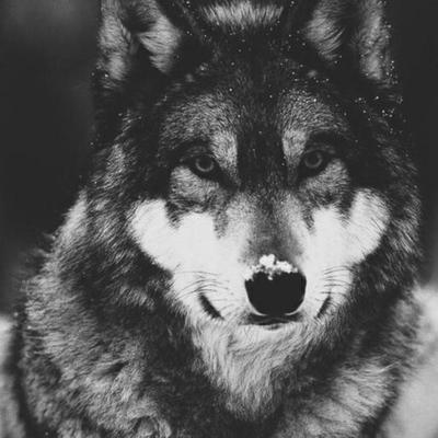 Profile Picture of George Andrus (@andwi_ba) on Twitter