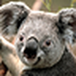 Profile Picture of Wael Ibrahim (@iwael22) on Flickr