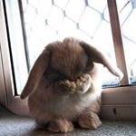 Profile Picture of Julia Weeks (@juliaweeks30) on Instagram