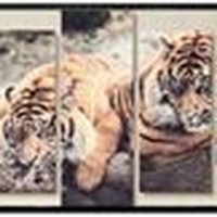 Tanya Wren - Quora Profile Picture of Tanya Wren (@tanya-wren) on Quora