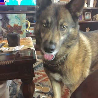 Profile Picture of Debra Beck (@debra.beck.370177) on Facebook