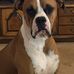 Profile Picture of Michael Hopper (@michael.hopper.98229) on Facebook